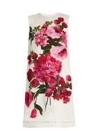 Dolce & Gabbana Floral-print Sleeveless Cady Dress
