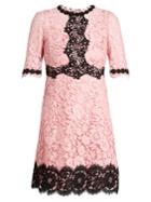 Dolce & Gabbana Cordonetto-lace Dress