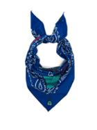 Matchesfashion.com Kilometre Paris - Brazil Embroidered Cotton Bandana Scarf - Womens - Blue