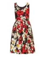 Dolce & Gabbana Poppy And Daisy-print Cotton Dress