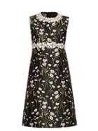 Giambattista Valli Daisies-embroidered Sleeveless Twill Dress