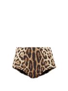 Dolce & Gabbana - Leopard-print High-rise Bikini Briefs - Womens - Leopard