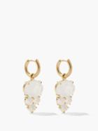 Irene Neuwirth - Rainbow Moonstone & 18kt Gold Earrings - Womens - Gold Multi