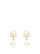 Matchesfashion.com Sophie Bille Brahe - Margherita Pearl & 14kt Gold Drop Earrings - Womens - Pearl