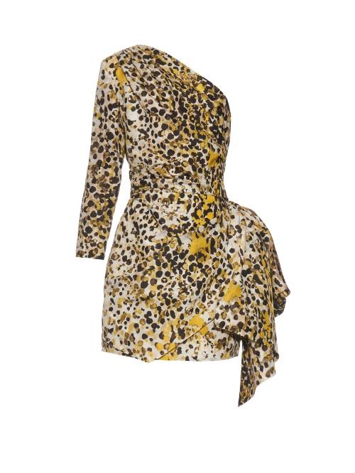 Roberto Cavalli One-shoulder Cheetah-print Silk Dress