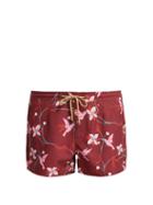 Matchesfashion.com Thorsun - Athena Floral Print Beach Shorts - Womens - Burgundy Multi