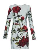 Dolce & Gabbana Rose-print Long-sleeved Cady Dress