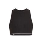 T By Alexander Wang Ribbed-knit Cropped Top