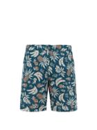 Matchesfashion.com Desmond & Dempsey - Fruit Print Cotton Poplin Pyjama Shorts - Mens - Multi