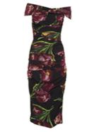 Dolce & Gabbana Tulip-print Off-the-shoulder Stretch-silk Dress