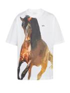Matchesfashion.com Marques'almeida - Horse Print Cotton T Shirt - Mens - White