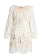 Zimmermann Gossamer Floral-embroidered Silk Dress