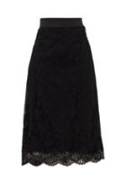 Matchesfashion.com Dolce & Gabbana - High-rise Cotton-blend Lace Midi Skirt - Womens - Black