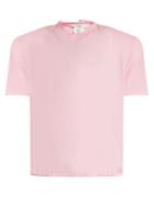 Tibi Padded-shoulder Cotton-jersey T-shirt