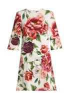 Matchesfashion.com Dolce & Gabbana - Rose And Peony Print Dress - Womens - White Multi