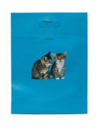 Balenciaga Kitten-print Leather Tote Bag