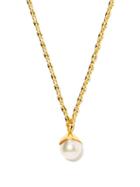 Matchesfashion.com Sophie Buhai - Teardrop Pearl & 18kt Gold-vermeil Necklace - Womens - Pearl