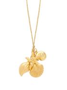 Matchesfashion.com Pippa Small Turquoise Mountain - Four Shell Cluster 18kt Gold Necklace - Womens - Gold