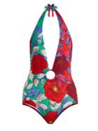 Diane Von Furstenberg Cheeky Floral-print Swimsuit