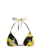 Dolce & Gabbana Sunflower-print Triangle Bikini Top