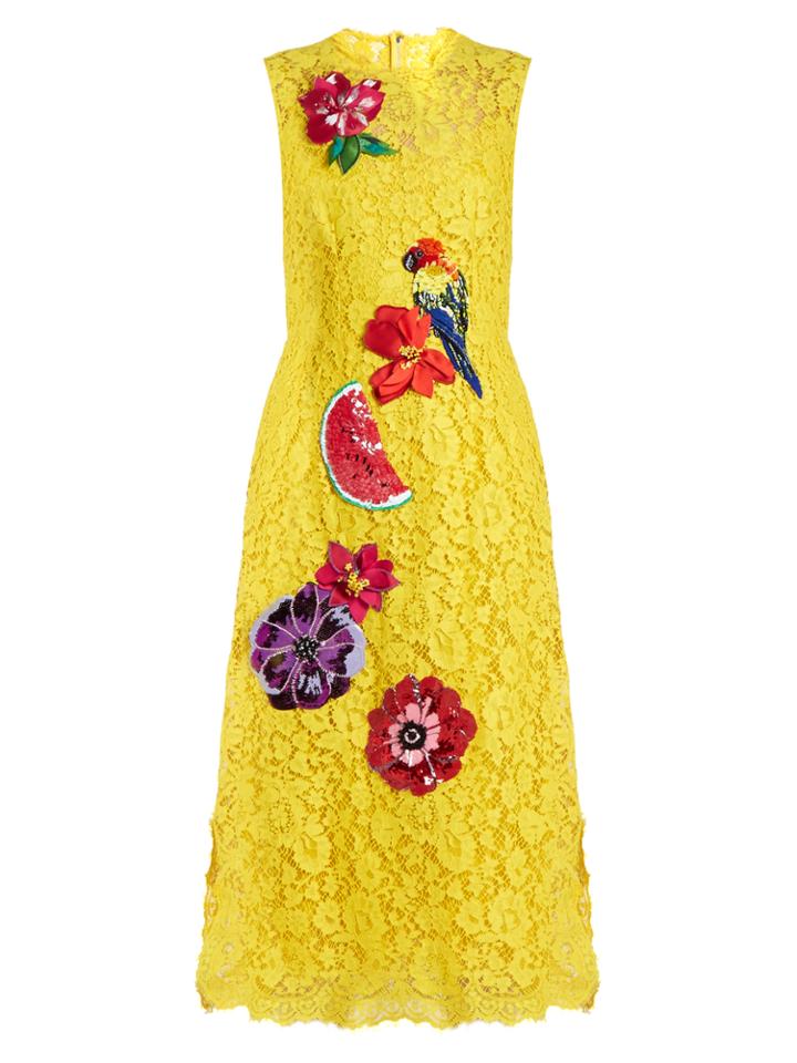 Dolce & Gabbana Embroidered Cordonetto-lace Dress