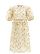 Matchesfashion.com Shrimps - Theodore Floral Fil-coup Organza Dress - Womens - Yellow White