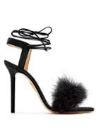 Matchesfashion.com Charlotte Olympia - Salsa Feather Embellished Suede Sandals - Womens - Black