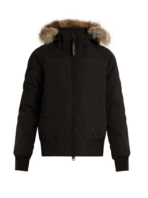 Canada Goose Savona Fur-trimmed Down-padded Bomber Jacket