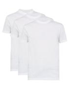 Matchesfashion.com Prada - Pack Of 3 Cotton Crew Neck T Shirts - Mens - White