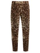 Dolce & Gabbana Leopard-print Straight-leg Stretch-cotton Trousers