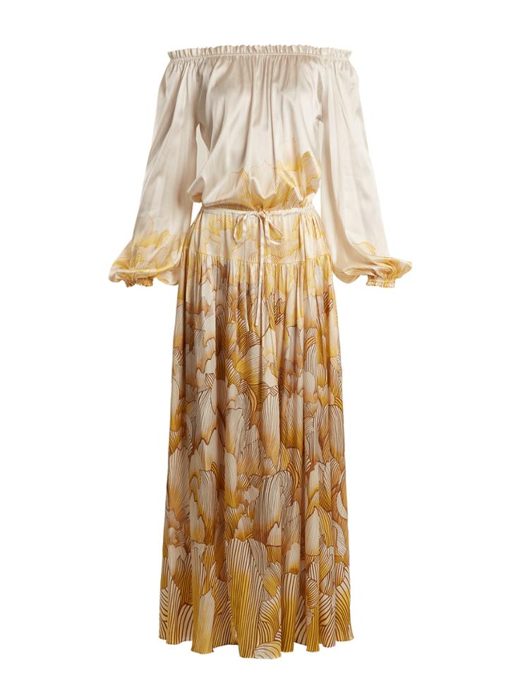 Adriana Iglesias Creek Floral-print Stretch-silk Gown