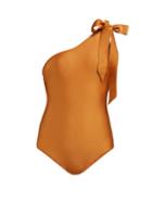 Matchesfashion.com Zimmermann - Veneto Bow Embellished Swimsuit - Womens - Brown