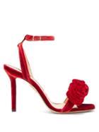 Matchesfashion.com Charlotte Olympia - Rose Appliqud Velvet Sandals - Womens - Red