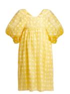 Matchesfashion.com Cecilie Bahnsen - Phoenix Floral Fil Coup Organza Mini Dress - Womens - Yellow White