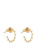Theodora Warre Gold-plated Earrings
