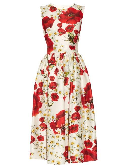 Dolce & Gabbana Poppy-print Cotton And Silk-blend Dress