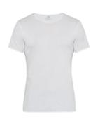 Matchesfashion.com The White Briefs - Earth Organic Cotton T Shirt - Mens - White