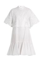 Erdem Kathy Half-placket Broderie-anglaise Dress