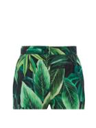 Matchesfashion.com Dolce & Gabbana - Leaf-print Cotton-poplin Shorts - Womens - Green Multi