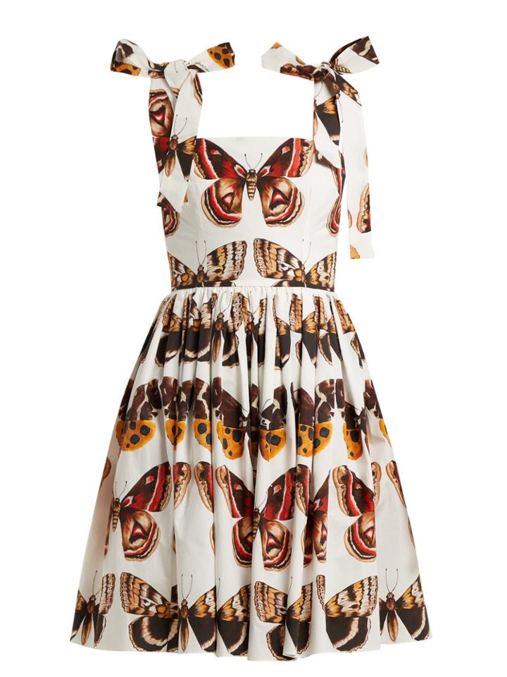 Dolce & Gabbana Butterfly-print Cotton-poplin Mini Dress