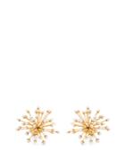 Ellery Newcombe Pearl-embellished Chandelier Earrings
