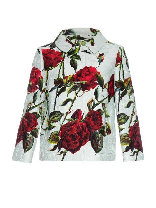 Dolce & Gabbana Rose-print Brocade Jacket