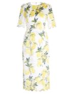 Dolce & Gabbana Lemon-print Fil Coup Dress