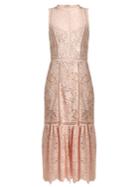 Rebecca Taylor Arella Open-back Cotton-lace Dress