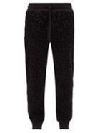 Mens Rtw Dolce & Gabbana - Leopard-flocked Cotton-jersey Track Pants - Mens - Black Multi
