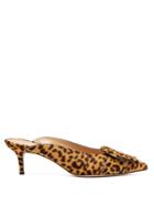 Gianvito Rossi Ruby Leopard-print Calf-hair Mules