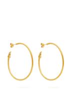 Alighieri Il Leone Large Gold-plated Hoop Earrings