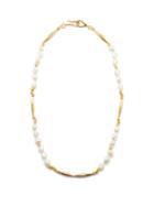 Tohum - Pearl & 24kt Gold-plated Necklace - Womens - Pearl