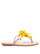 Matchesfashion.com Aquazzura - Bougainvillea Floral-appliqu Leather Flip Flops - Womens - Yellow Multi