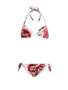 Matchesfashion.com Dolce & Gabbana - Peony And Rose Print Balconette Bikini - Womens - Pink Multi